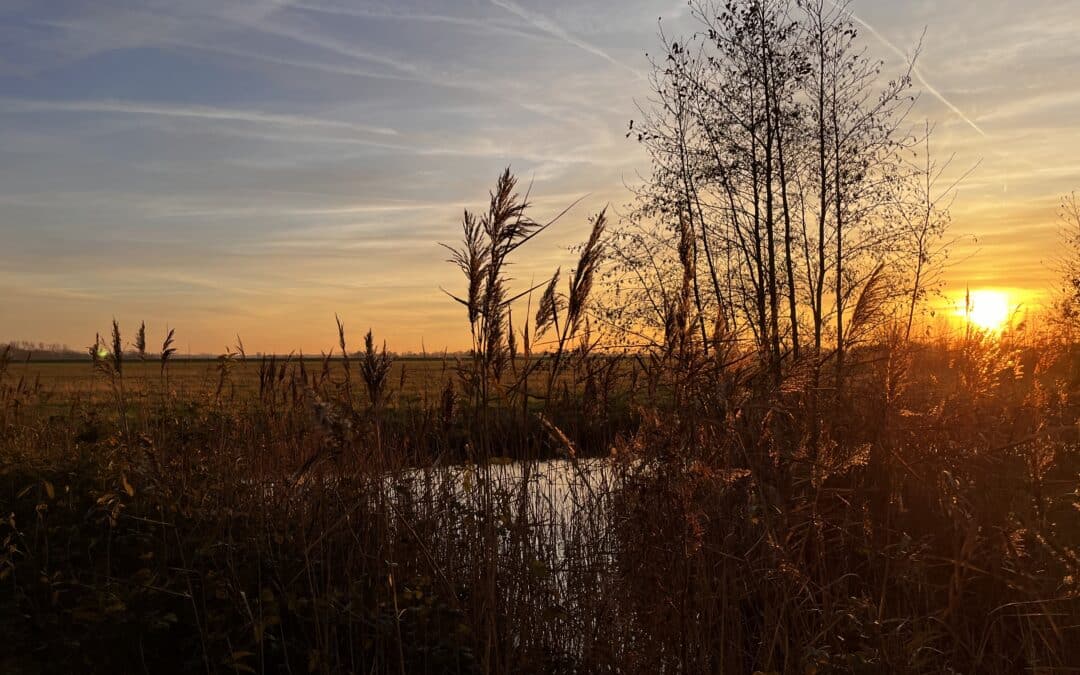 De zuidsloot